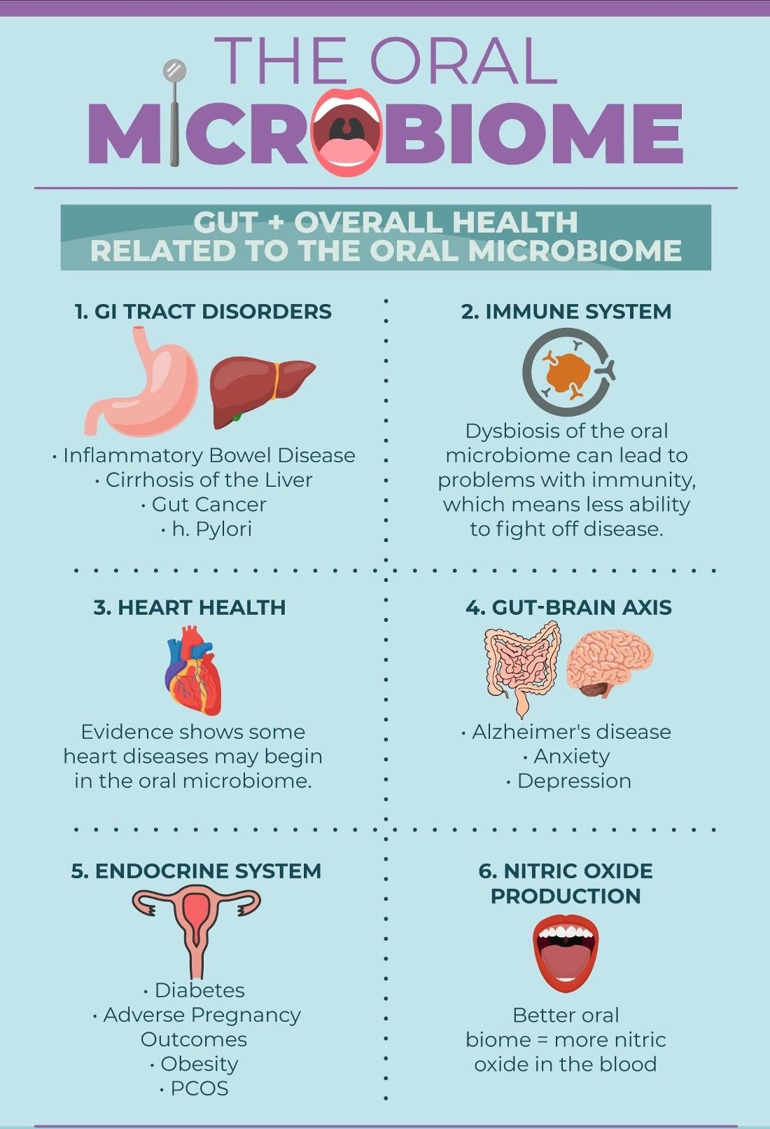 Gut Biome May Be Just as Important as Brushing and Flossing